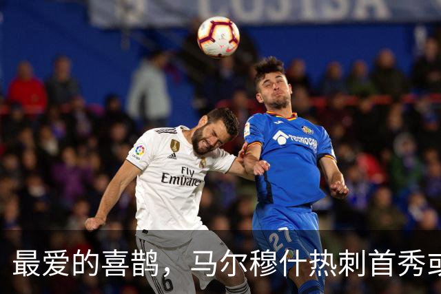 最爱的喜鹊，马尔穆什热刺首秀或战纽卡，生涯5次交锋攻入7球
