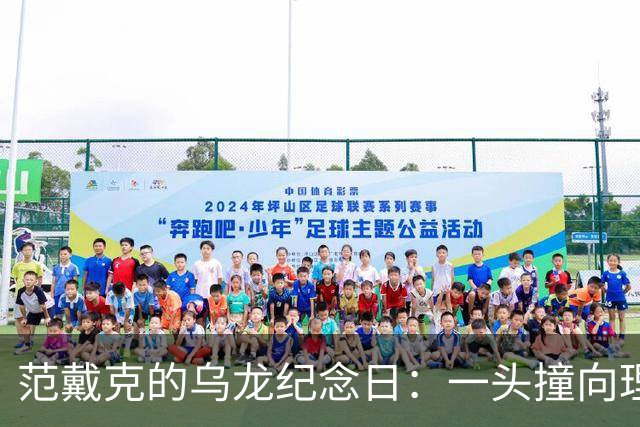 范戴克的乌龙纪念日：一头撞向理想的失误